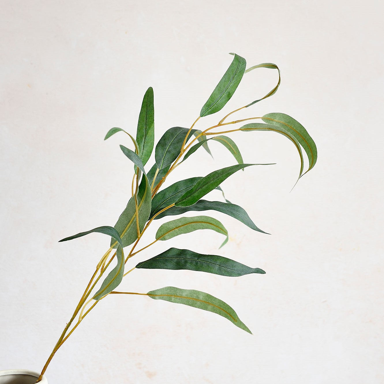 Faye Eucalyptus Foliage