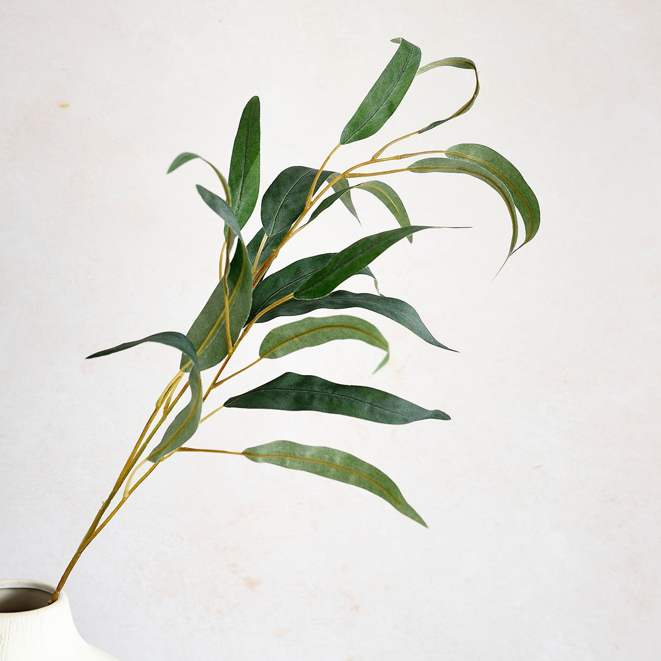 Faye Eucalyptus Foliage