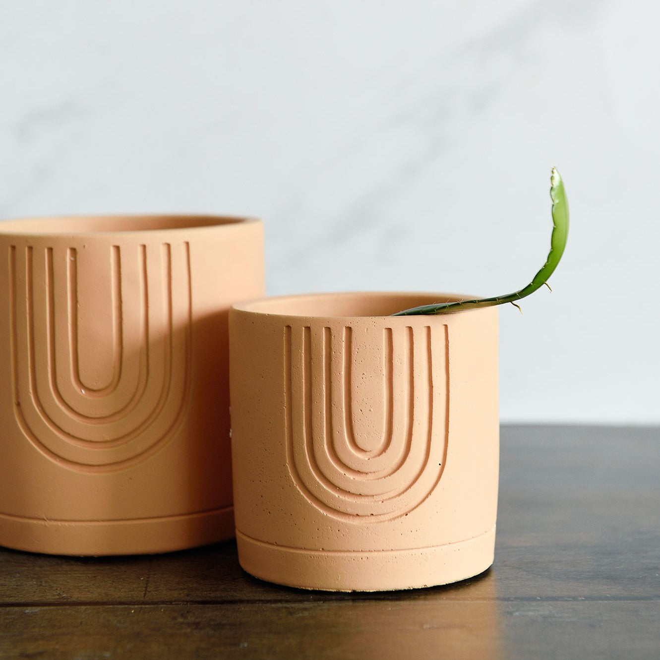 Janine cement pot collection