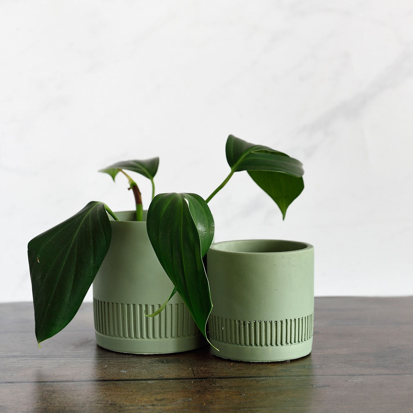 Janine cement pot collection